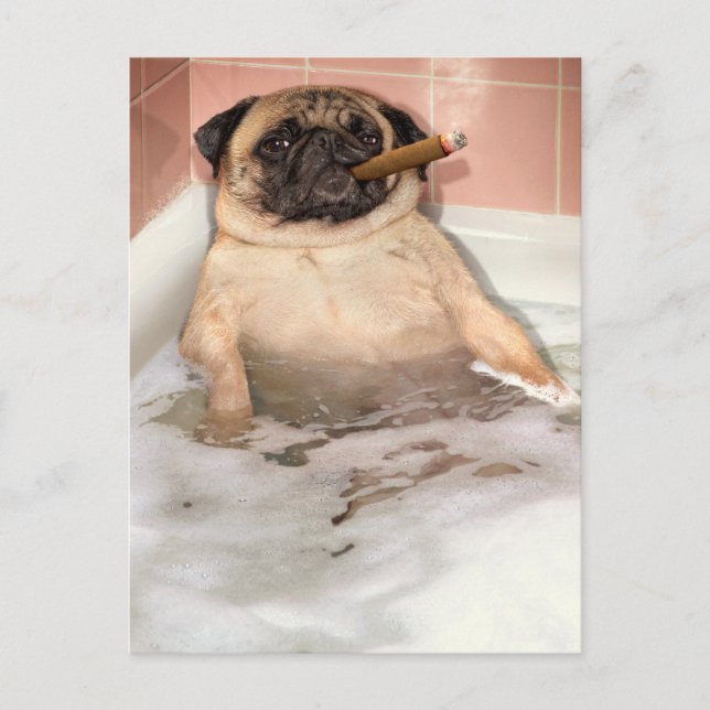 Pug Taking Bubble Bath Invitation Postcard (Front)