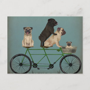 Pug Tandem Postcard