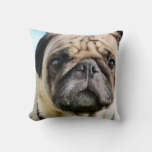 Pug   throw pillow