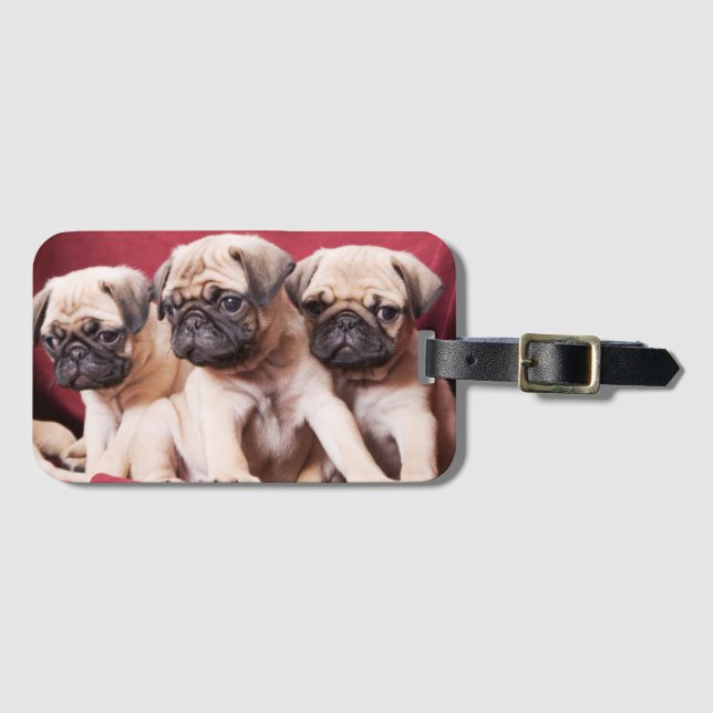 Pug Triplets Luggage Tag (Front Horizontal)