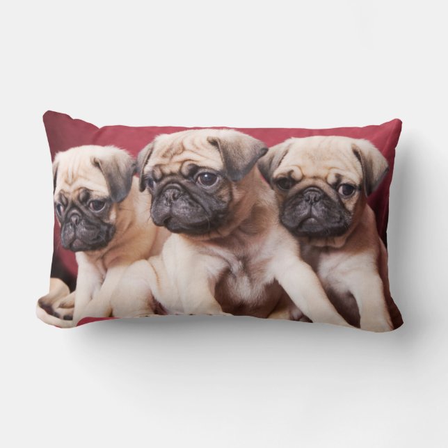 Pug Triplets Lumbar Pillow (Front)