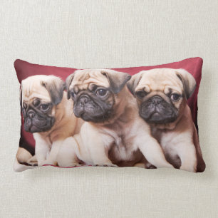 Pug Triplets Lumbar Pillow