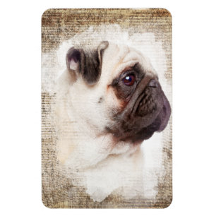 Pug Vintage Portrait Magnet