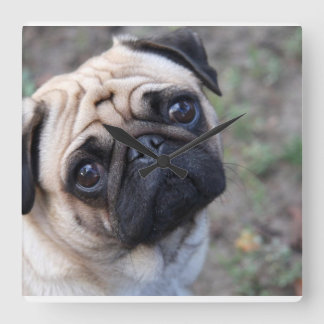 Pug Wall Clock