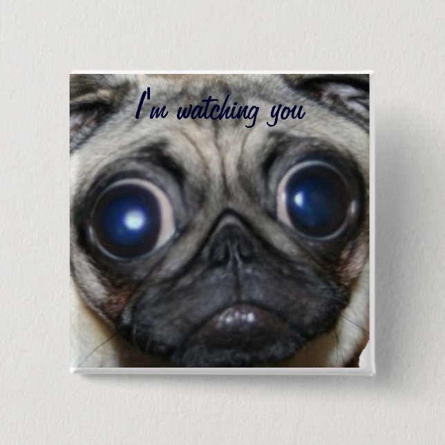Pug Watching You 2 Inch Square Button (Front)