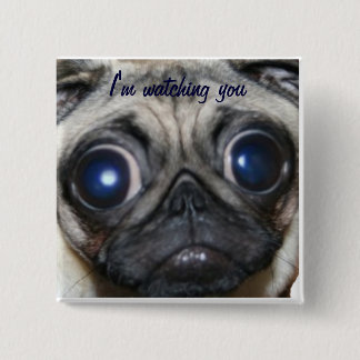 Pug Watching You 2 Inch Square Button