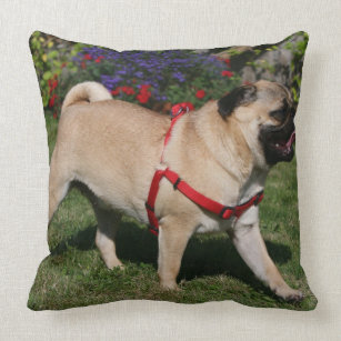 Pug Wearing Red Harness Throw Pillow