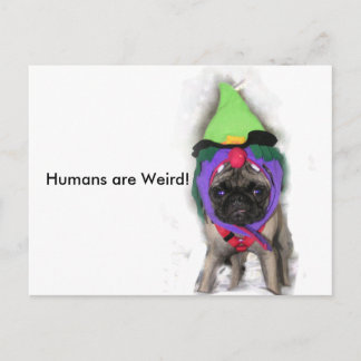 Pug Witch Postcard