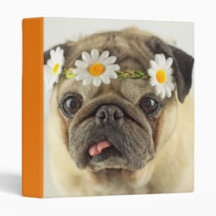 Pug with Daisy Crown Binder