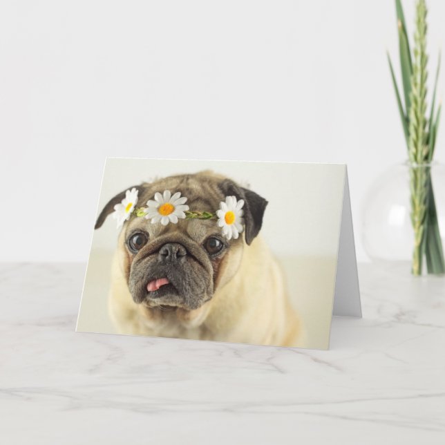 Pug with Daisy Crown Card (Front)