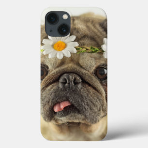 Pug with Daisy Crown iPhone 13 Case