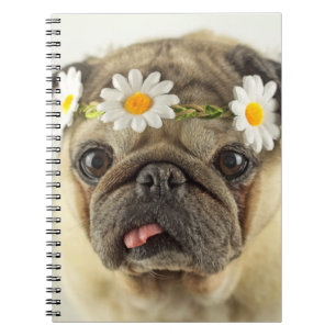 Pug with Daisy Crown Notebook