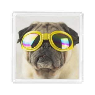 Pug with Goggles Acrylic Tray