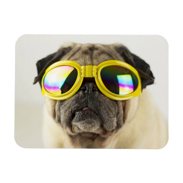 Pug with Goggles Magnet (Horizontal)