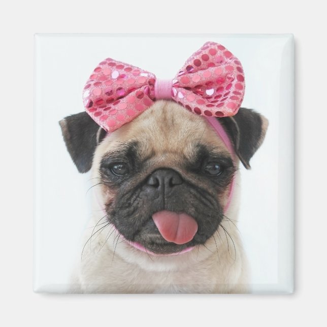 Pug with Pink Bow Magnet (Front)