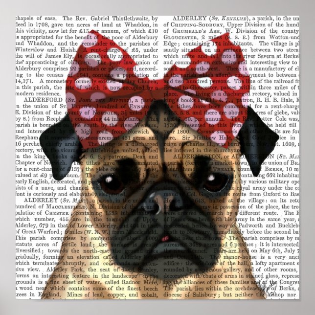 Pug with Red Spotty Bow On Head Poster (Front)
