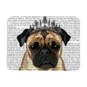 Pug With Tiara Magnet