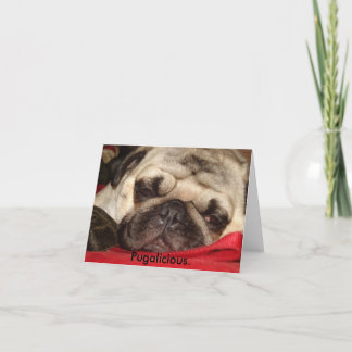 Pugalicious greeting cards