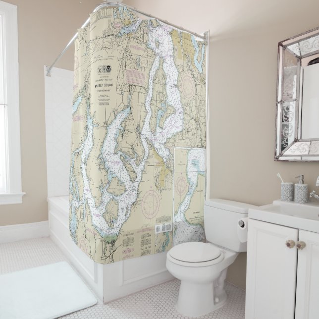 Puget Sound Southern Part Nautical Chart 18448 (In Situ)