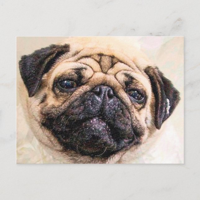 Pugged Postcard (Front)