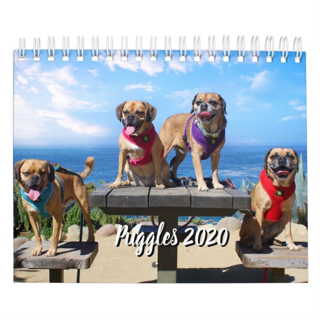 PUGGLE - CALENDRIER 2019 (Protection)