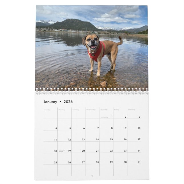 Puggle Calendrier 2022 (Jan 2026)