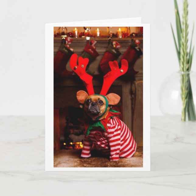 Puggle ! Carte de Noël (Devant)
