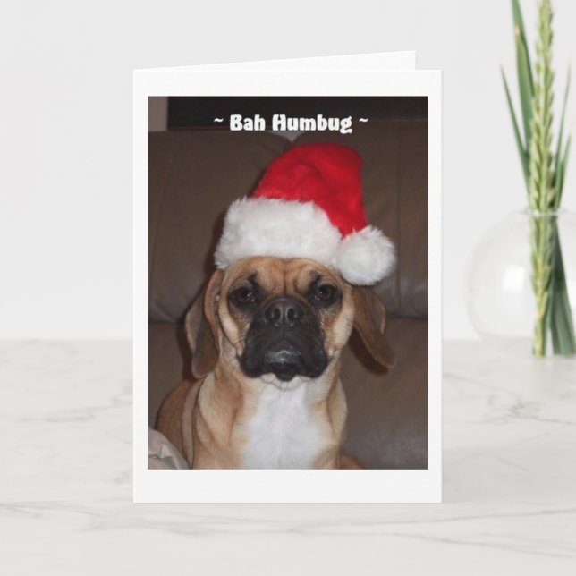 Puggle ! Carte de Noël (Devant)