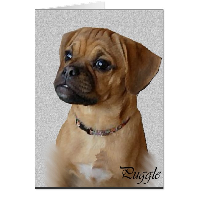 Puggle Lovers Gifts (Front)