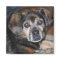 Puggle Magnet