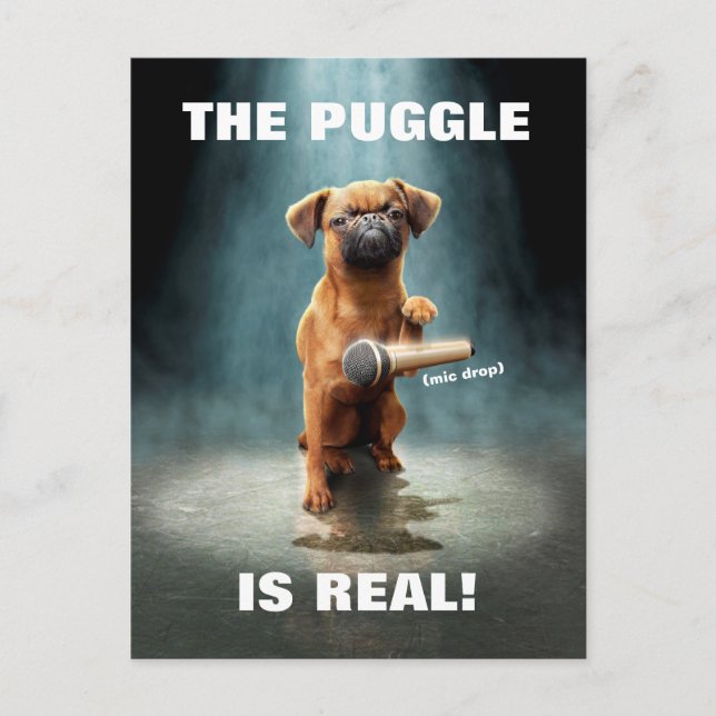 Puggle Mic Drop Invitation Postcard (Front)