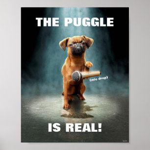 Puggle Mic Drop Poster