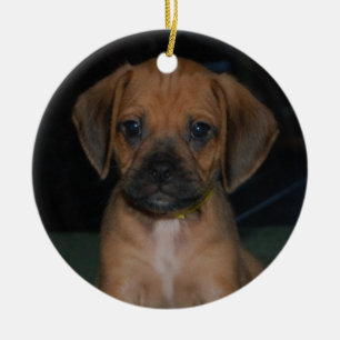 puggle ornament