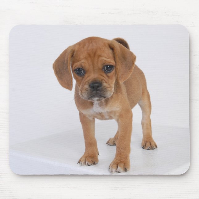 Puggle Puppy Pad Mouse Pad (Front)