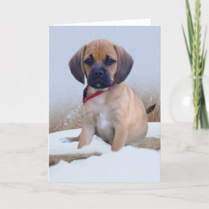 Puggle snow card