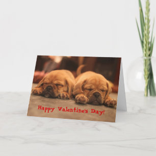 Puggle Valentine's Day Holiday Card