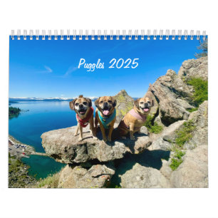 Puggles 2025 calendar