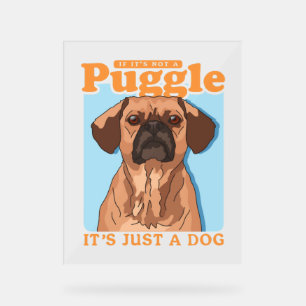 Puggles Chien Propriétaire C'est un Puggle