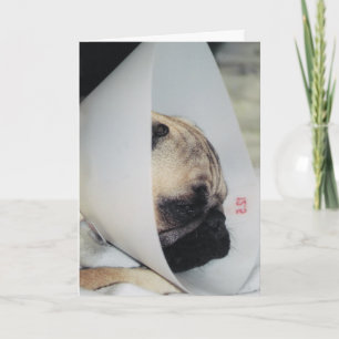 Puggy Get Well Greeting Card