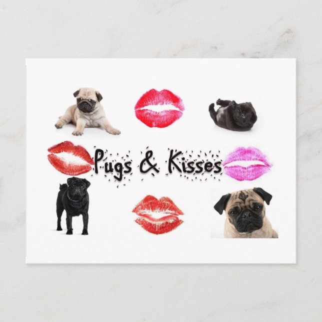 Pugs and Kisses Postcard (Front)