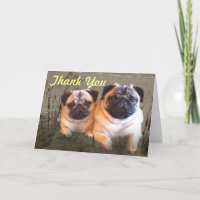 Pugs and Kisses Thank You Card
