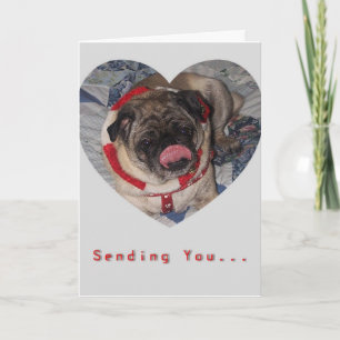 Pugs And Kisses Valentine's Day Card