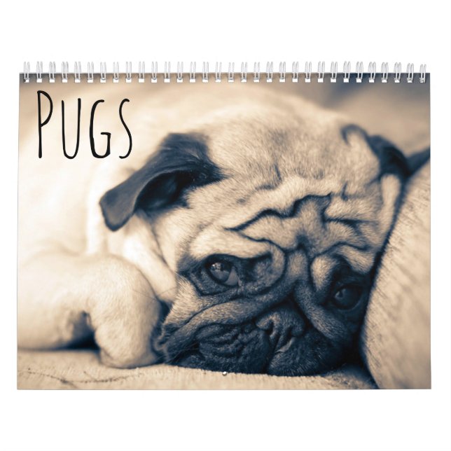 Pugs Calendar (Cover)