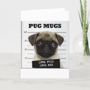 Pugs Holiday Card