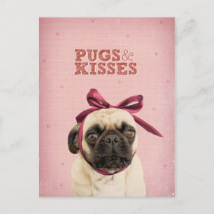 Pugs & Kisses by itslolathepug Postcard