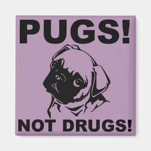 Pugs Not Drugs Funny Fridge Magnet Refrigerator