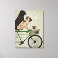 Pugs on Bicycle