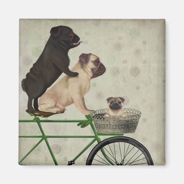 Pugs on Bicycle Magnet (Front)