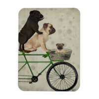 Pugs on Bicycle