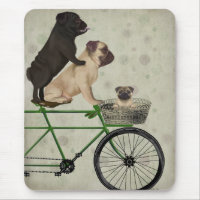 Pugs on Bicycle